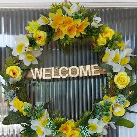 Daffodil 4*