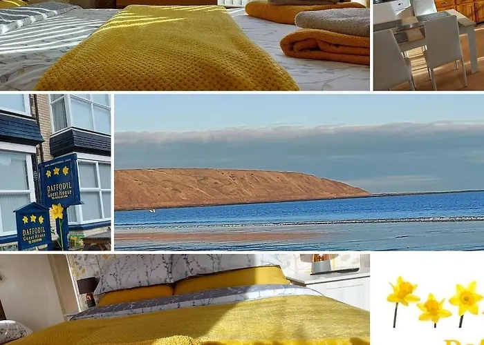 Guest house Daffodil 3*